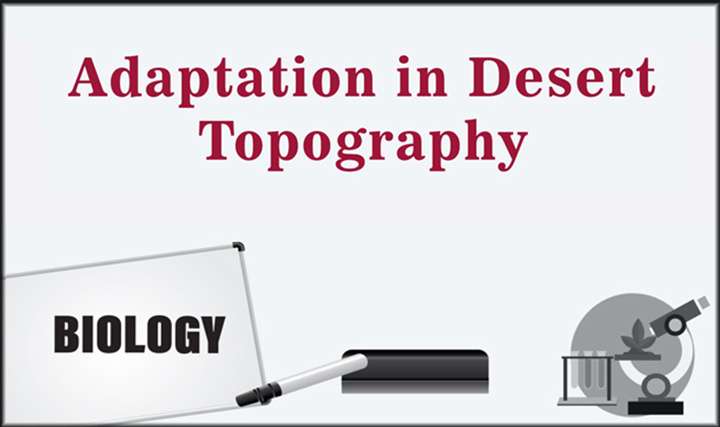 Adaptation in Desert Topography - 
