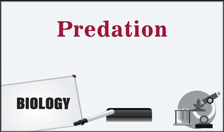 Predation - 