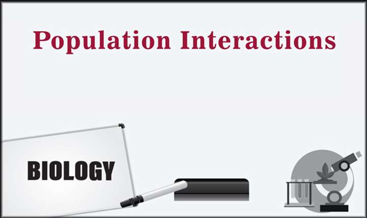 Population Interactions - 
