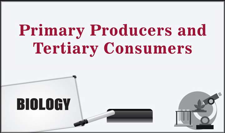 Primary Producers and Tertiary Consumers - 
