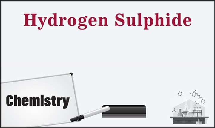 Hydrogen Sulphide - 