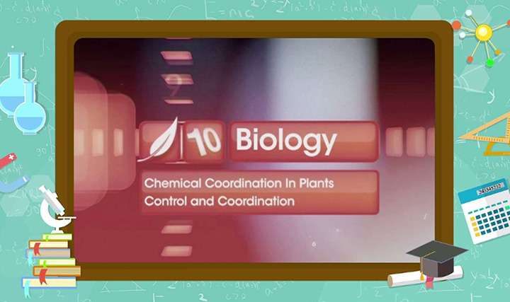 Control and Coordination - Chemical Coordination in Plants