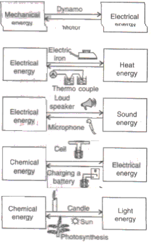 Frank Solutions Icse Class 10 Physics Chapter - Force Work Energy And Power Exercises And Mcq