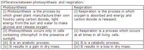 Frank Solutions Icse Class 10 Biology Chapter - Photosynthesis