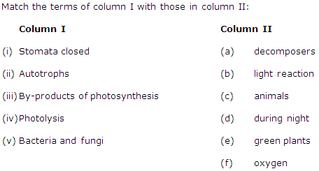 Frank Solutions Icse Class 10 Biology Chapter - Photosynthesis