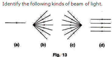 Frank Solutions Icse Class 9 Physics Chapter - Light Reflection Of Light