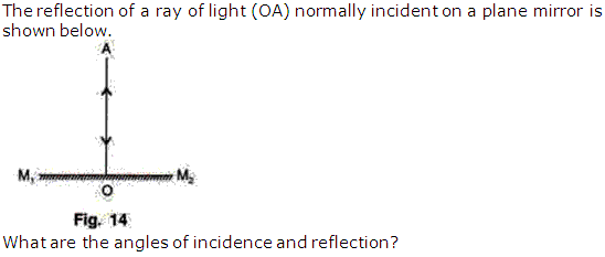 Frank Solutions Icse Class 9 Physics Chapter - Light Reflection Of Light