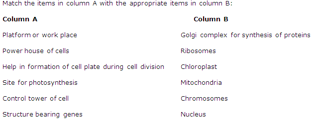 Frank Solutions Icse Class 9 Biology Chapter - The Cell A Unit Of Life