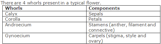 Frank Solutions Icse Class 9 Biology Chapter - Flowers