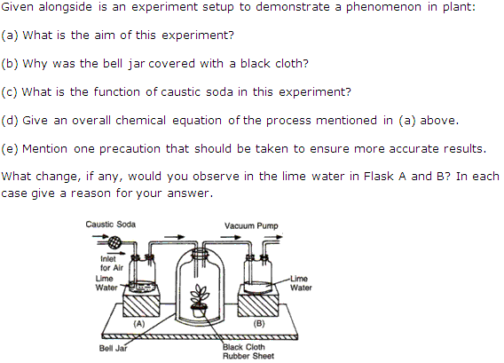 Frank Solutions Icse Class 9 Biology Chapter - Respiration In Plants