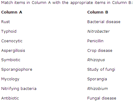Frank Solutions Icse Class 9 Biology Chapter - Bacteria And Fungi Their Importance