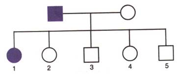 Selina Solutions Icse Class 10 Biology Chapter - Genetics Some Basic Fundamentals