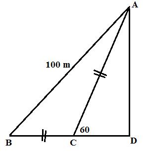 Selina Solutions Icse Class 9 Mathematics Chapter - Solution Of Right Triangles Simple 2 D Problems Involving One Right Angled Triangle