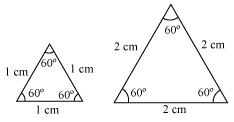 CBSE Class 10 NCERT solutions Triangles-Ex6_1_2-1
