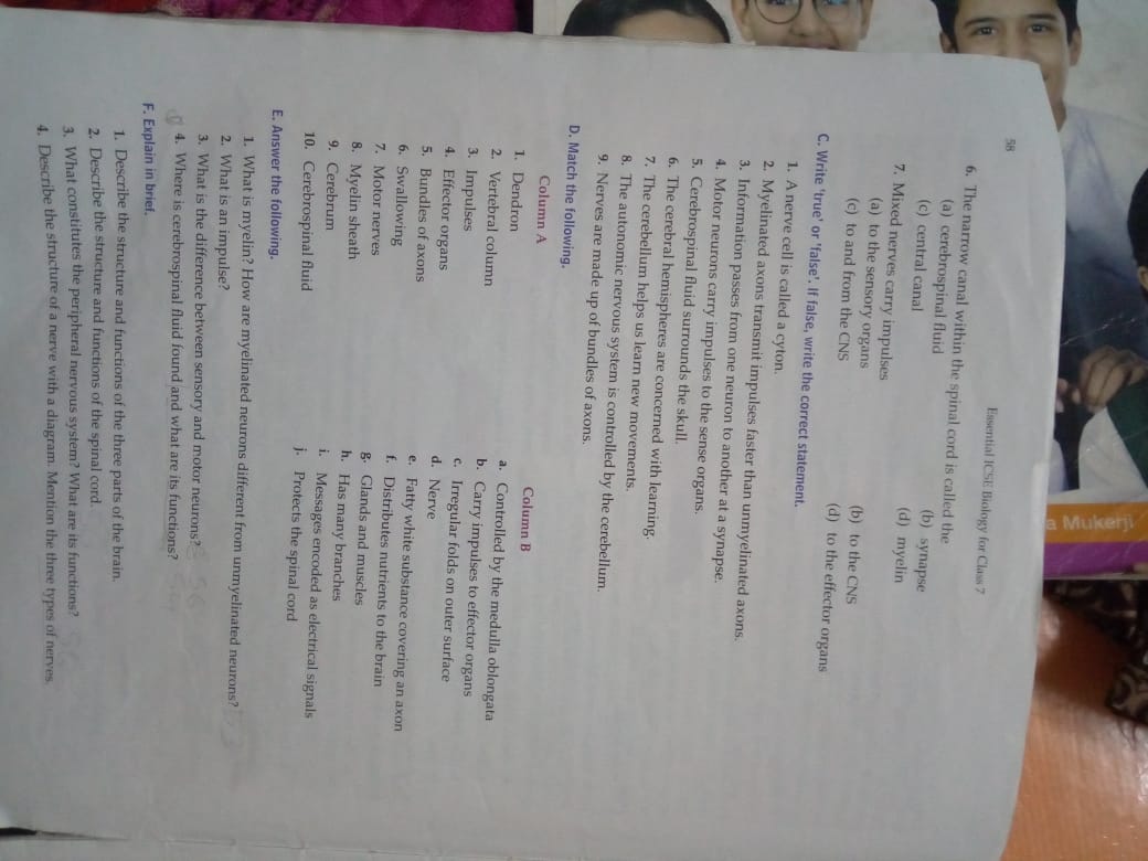 Papers, Biology Class ... - Sample Textbook Syllabus, ICSE 7