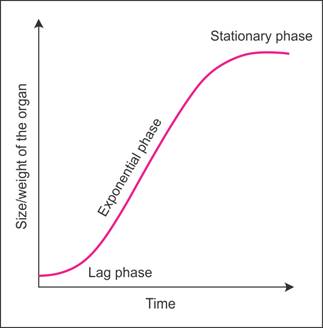 Describe relative growth. Also, plot a graph indicating relative growth ...