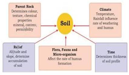 what are the factors affecting the soil formation ...