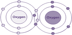 Draw a diagram of bonding between two oxygen atoms. - nwmczo6zz