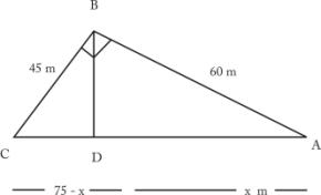 Selina Solutions Icse Class 9 Mathematics Chapter - Area And Perimeter Of Plane Figures