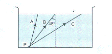 Selina Solutions Icse Class 10 Physics Chapter - Refraction Of Light At Plane Surfaces