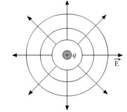 What is the geometrical shape of equipotential surfaces due to a single ...