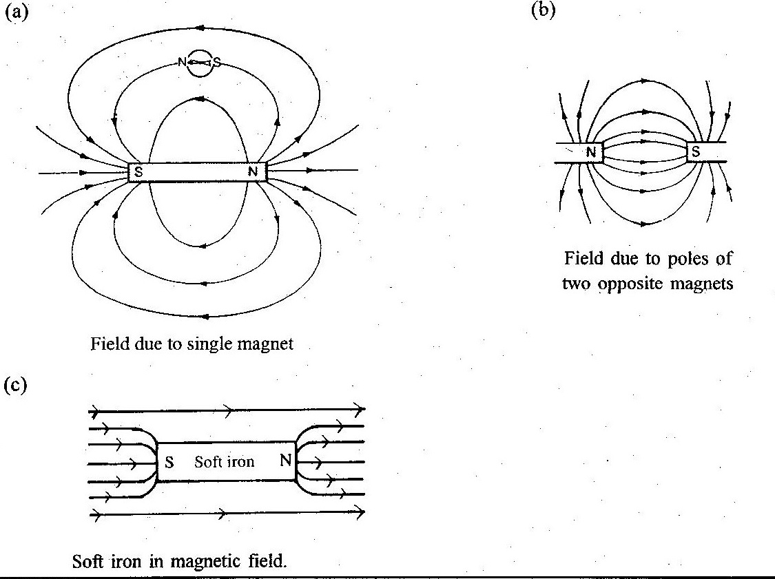 Force Diagram Car