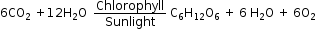 begin mathsize 12px style 6 CO subscript 2 space plus 12 straight H subscript 2 straight O space space Chlorophyll over Sunlight space straight C subscript 6 straight H subscript 12 straight O subscript 6 space plus space 6 space straight H subscript 2 straight O space plus space 6 straight O subscript 2 end style