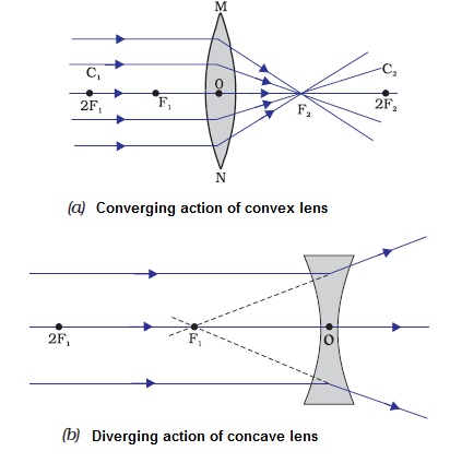 Distinguish between concave and convex lens - mwed8zbb