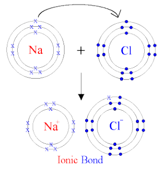 Questions with Solutions, ICSE - TopperLearning