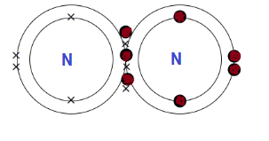 Covalent bonding in nitrogen molecule