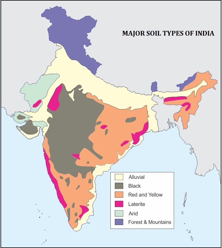 Mark The Major Soil Types In India In A Political Map a And Write Any 