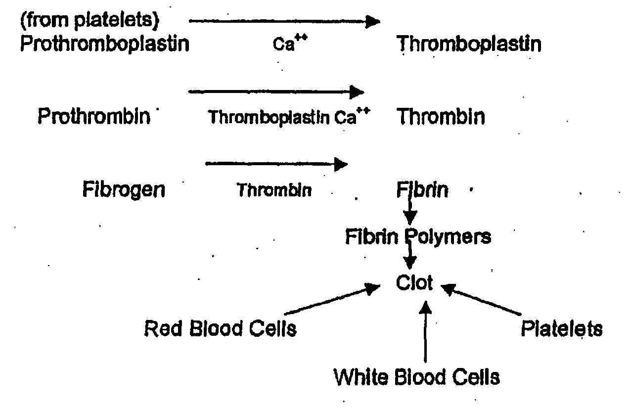 Coagulation Of Blood Flow Chart