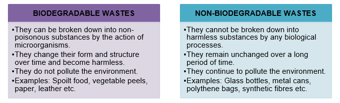 biodegradable-and-non-biodegradable-definitions-difference-faqs