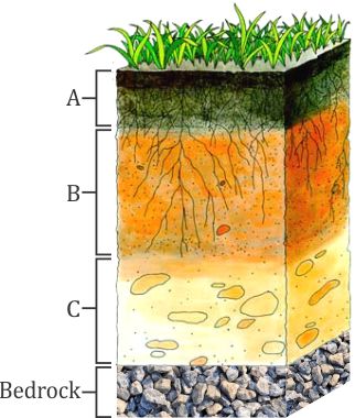 Sketch the cross section of soil and label the various layers