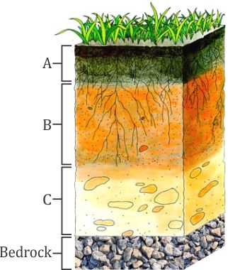 what is a soil profile and where would you find humas and bed rock? -  fo1k2enn