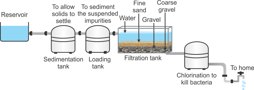 describe-the-filtration-tank-used-in-the-process-of-water-purification