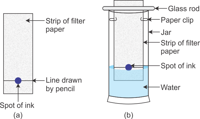 ink separation paper chromatography