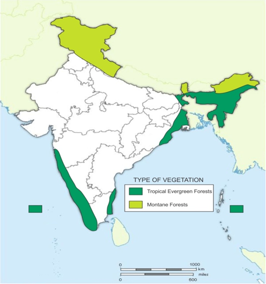 Map Of India Forest Maps of the World