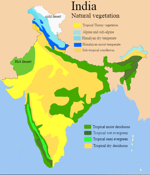 Draw a outline map of india with forest , culture , diversity ...