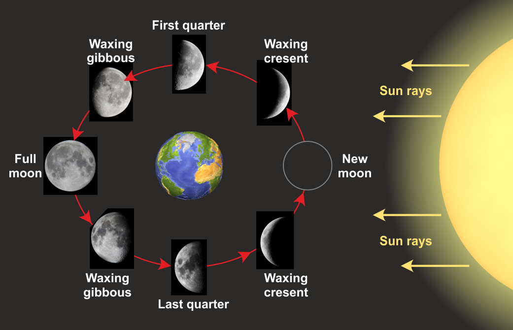 Phases Of The Moon Teaching Science Sun And Earth Moon Phases ...