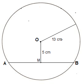 A circle has center O, radius 13 cm and chord AB on it. The point M on ...