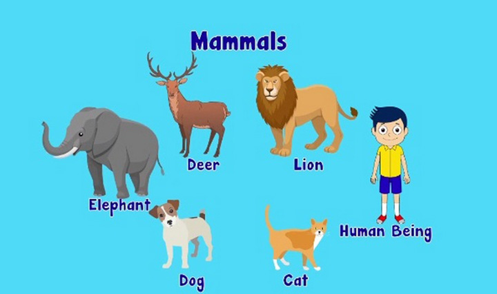 videoimg/54966_TX_30_Types_of_AR&A_FOR_WEB_02.jpg