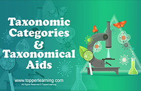 videoimg/thumbnails/CBSE_ClassXI_Biology_TheLivingWorld_TaxonomicCategoriesandTaxonomicalAids.jpg