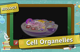 Cell - The Fundamental Unit of Life 