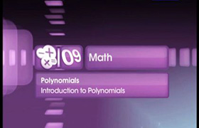 Introduction to Polynomials 