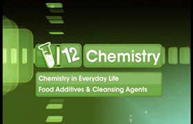 Food Additives - Chemicals in our food 