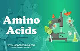 Amino acids 