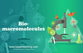 Biomacromolecules 