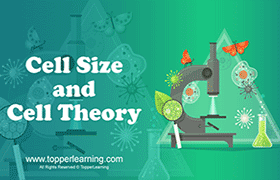 Cell Size and Cell Theory 
