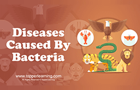 Diseases Caused by Bacteria 